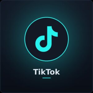 TikTok Followers